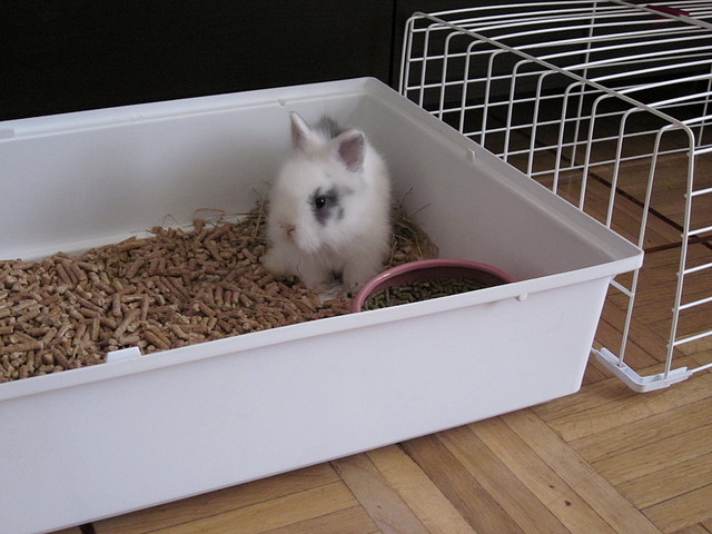 IMG_0219 IMG_0219