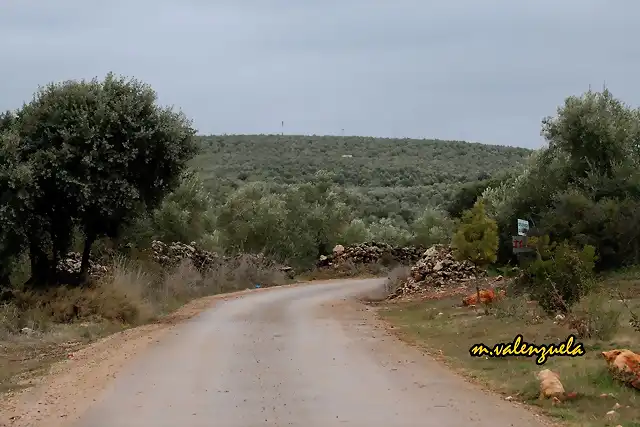 09, en el portichuelo, marca