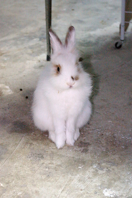 sueito posando,es presumida ella jeje