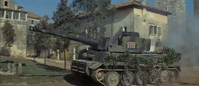 tiger1f_9763