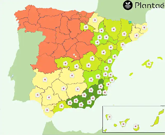 mapa-de-almendros-en-Espa?a