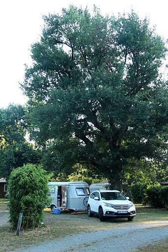 IMG_0106 (Copier) IMG_0106 (Copier)