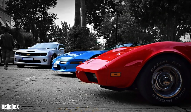 DSC_0872 DSC_0872