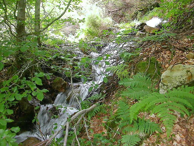 DSCN3874 DSCN3874