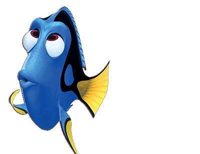 Dory