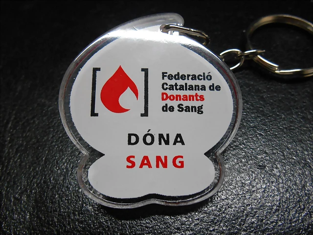 DSCN4599
