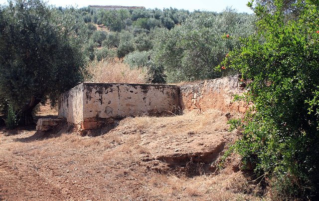 alberca segunda cortijada