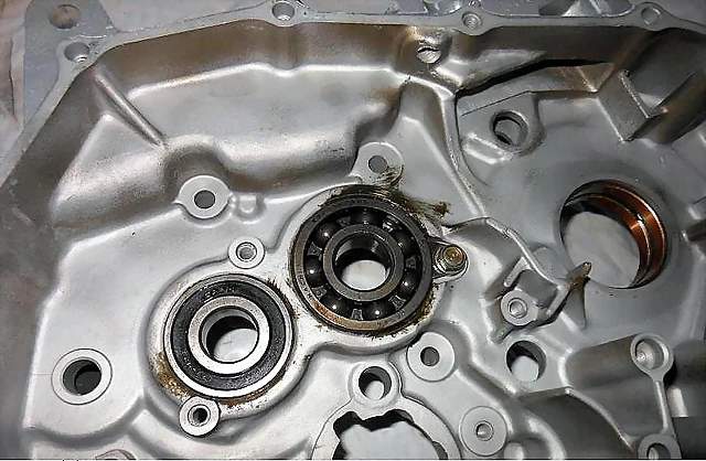31 31