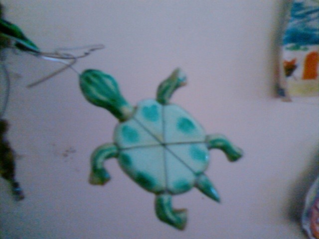 Tortuga.d[1]