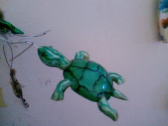 Tortuga.a[1]