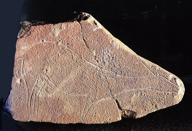 Cierva, plaqueta grabada, cueva de El Parpall, Ganda