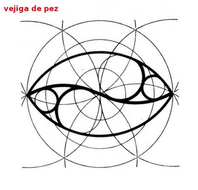 ornamentacin en vejiga de pez