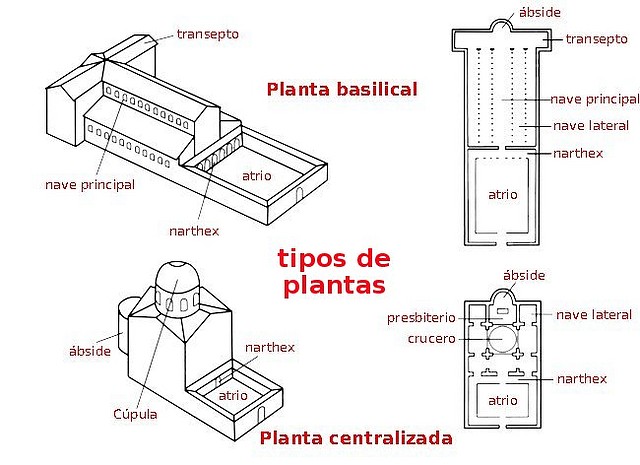 plantas, tipos