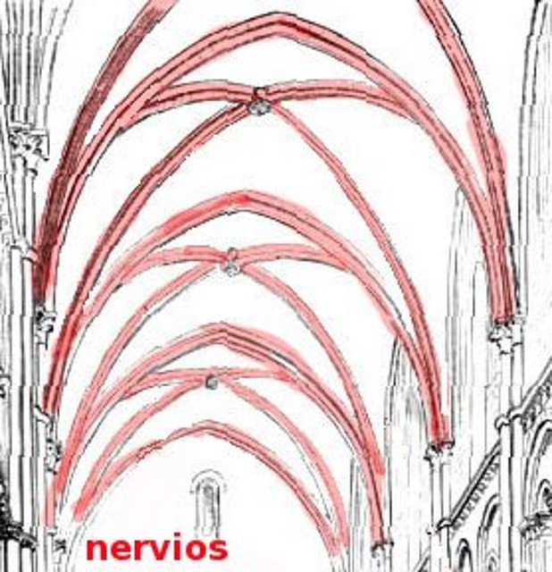 nervio