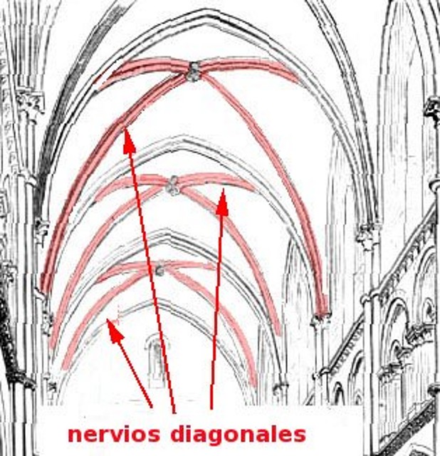 nervios diagonales