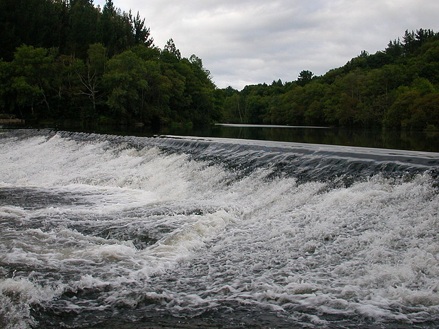 DSCN1650 DSCN1650