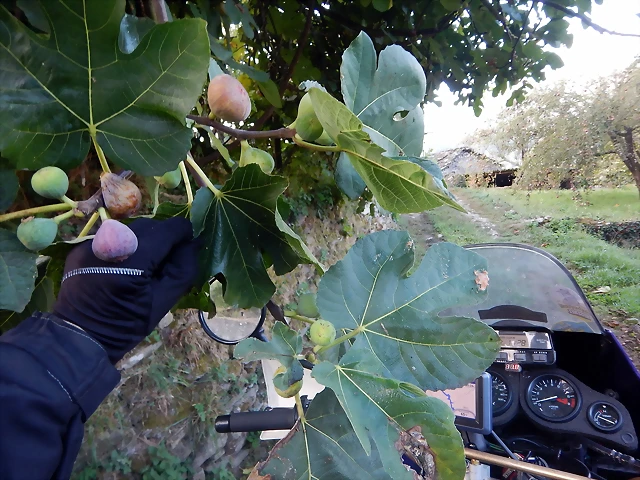 DSCN1173 DSCN1173