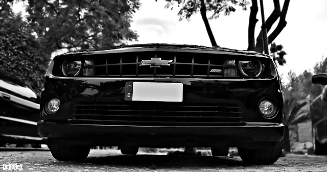 DSC_0818 DSC_0818