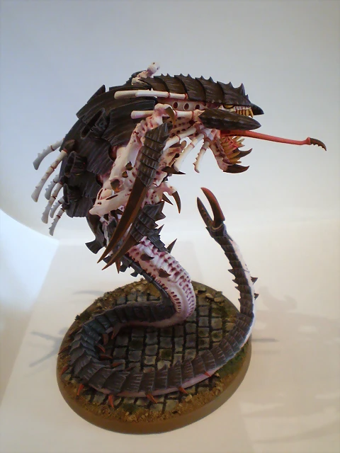 Mawloc Tirnido (13)