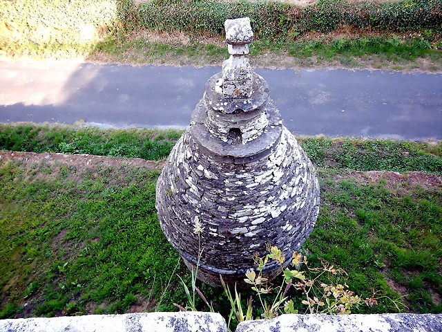 DSCN6654 DSCN6654