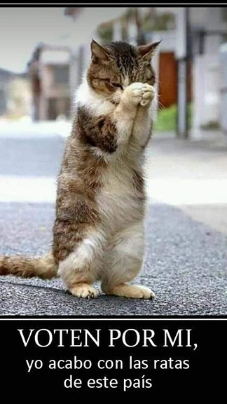 EL UNICO QUE NOS LIBRA DE LAS RATAS EL UNICO QUE NOS LIBRA DE LAS RATAS