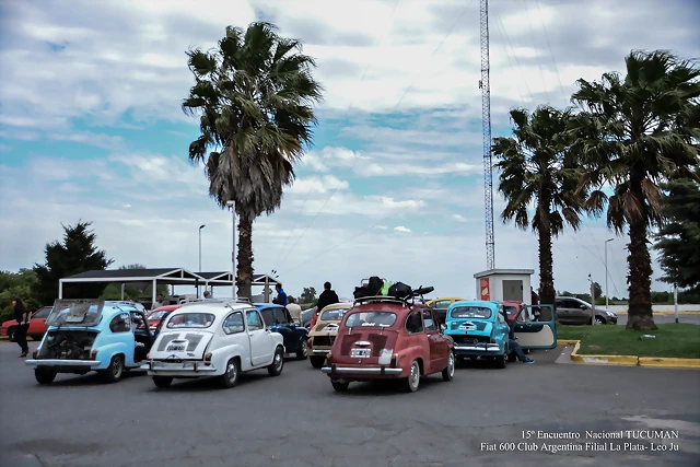 DSC_0489 DSC_0489