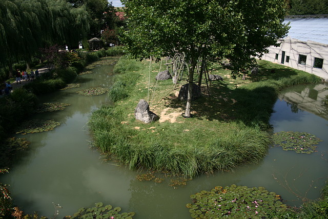 Beauval agost 2010 651 Beauval agost 2010 651