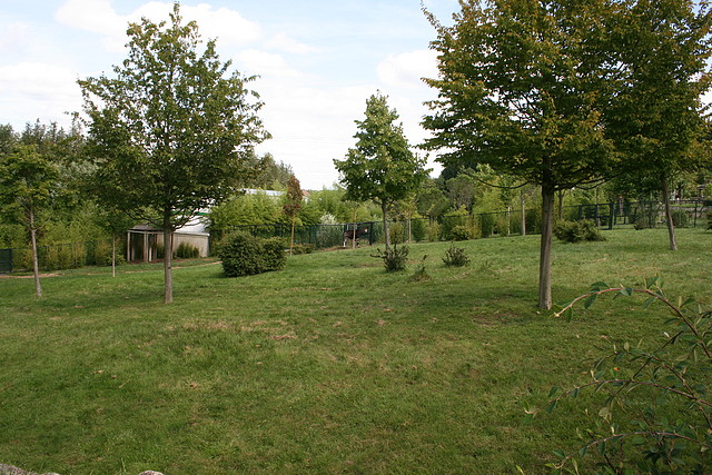 Beauval agost 2010 603 Beauval agost 2010 603