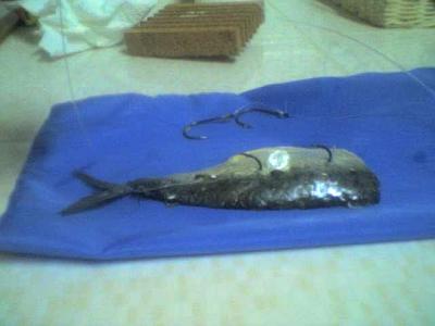 sardina anzuelada sardina anzuelada