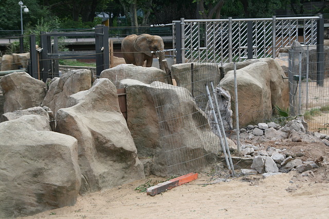 Zoo de Barcelona 22-07-2010 050 Zoo de Barcelona 22-07-2010 050