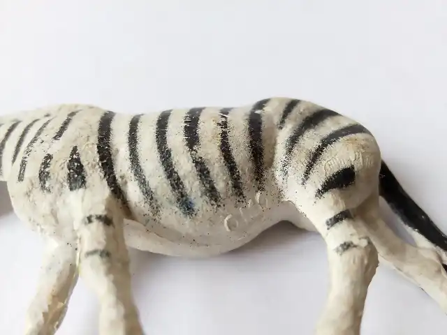 zebra3