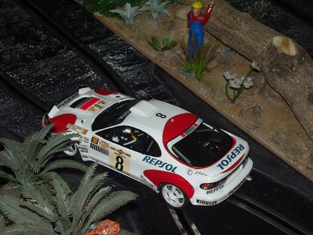 Rally Los Montones.. 032 (Small) Rally Los Montones.. 032 (Small)