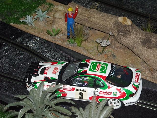 Rally Los Montones.. 034 (Small) Rally Los Montones.. 034 (Small)