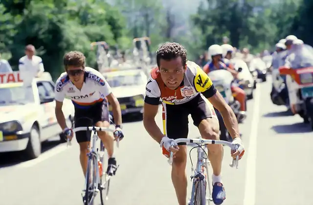 Perico-Tour1986-Pau-Hinault10b