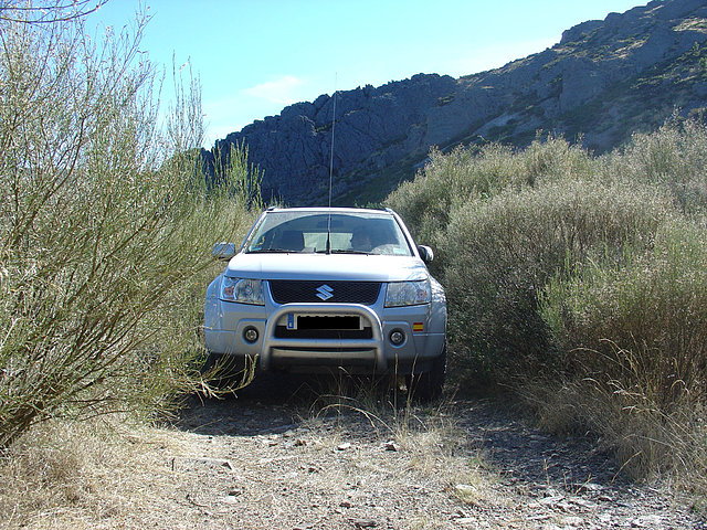 SUZUKI ENTRE MATOJOS