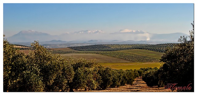 081-AFVA- PAISAJES DE JAEN 1