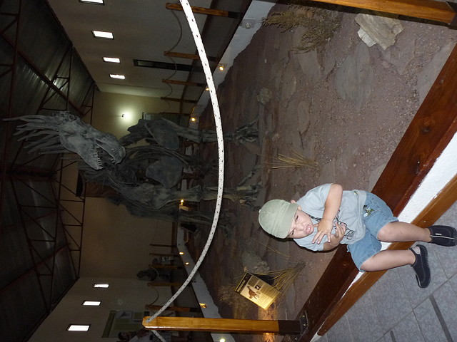 P1080288 P1080288