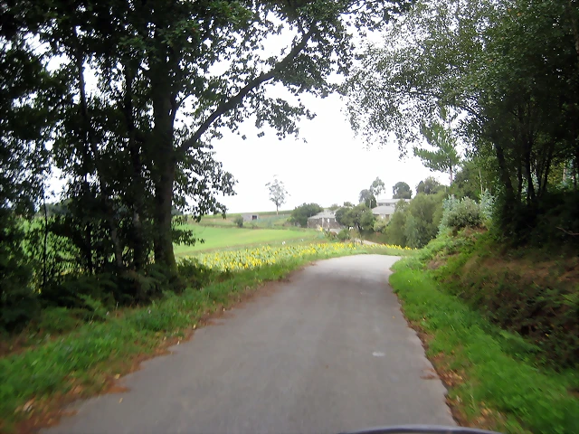 IMG_0259 IMG_0259