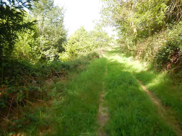 DSCN2086 DSCN2086