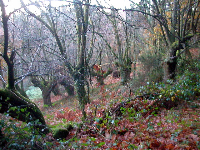 DSCN5092 DSCN5092