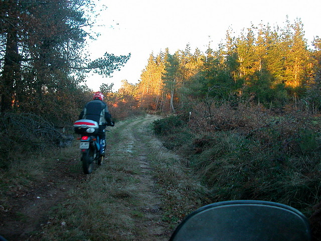 DSCN5084 DSCN5084