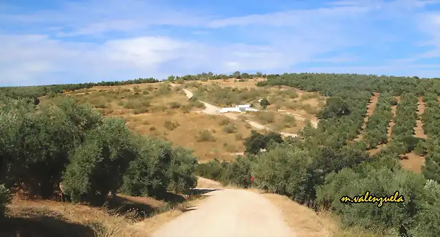 01, fuente del rosal, marca