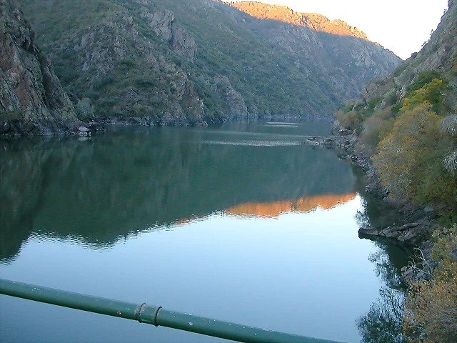DSCN6542 DSCN6542