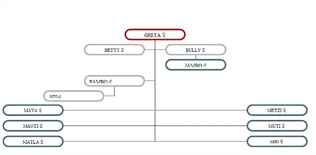 agelefantesbio