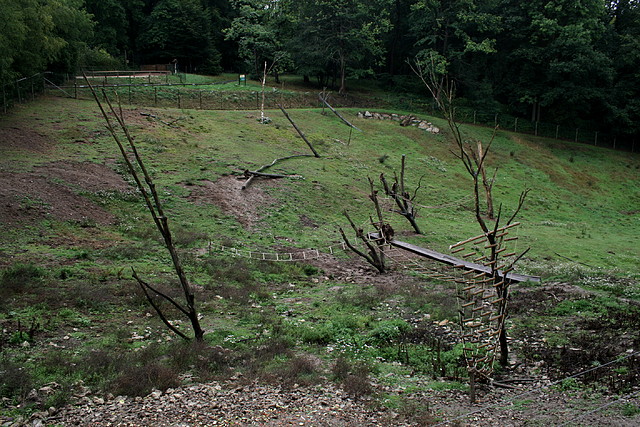 CERZA 27-08-10 210 CERZA 27-08-10 210