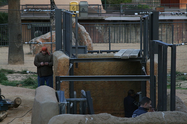 Zoo de Barcelona 24-11-10 513 Zoo de Barcelona 24-11-10 513
