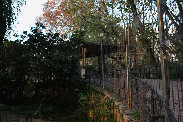 Zoo de Barcelona 24-11-10 598 Zoo de Barcelona 24-11-10 598