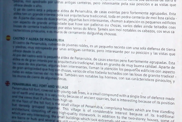 P1010113'2 P1010113'2