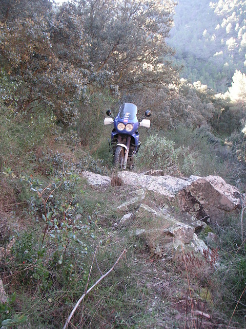 mtb olocau 077 mtb olocau 077