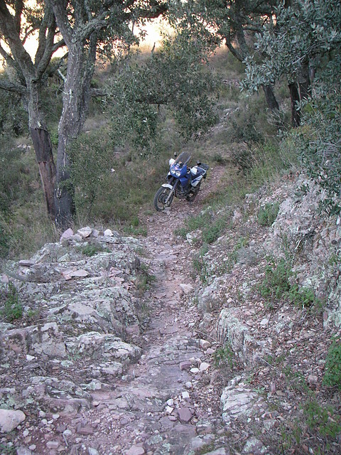 mtb olocau 072 mtb olocau 072